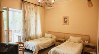 Гостиница Шале Пермь Улучшенный двухместный номер с 2 отдельными кроватями-3